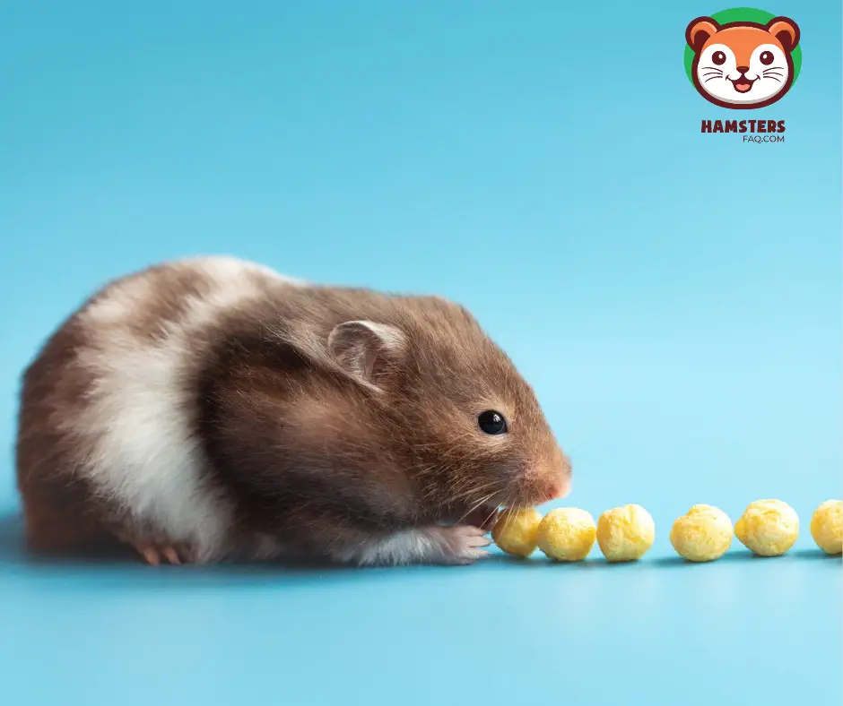 How Much Food Can a Hamster Store in Its Cheeks?