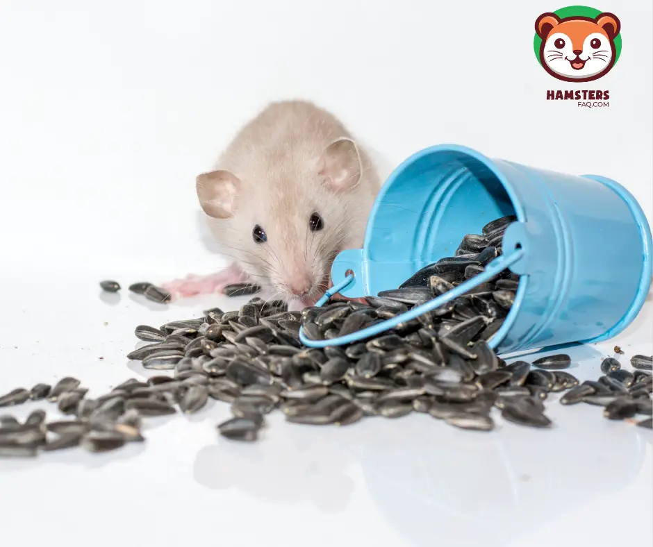 Is Grreat Choice Mouse and Rat Food Okay for Hamsters?