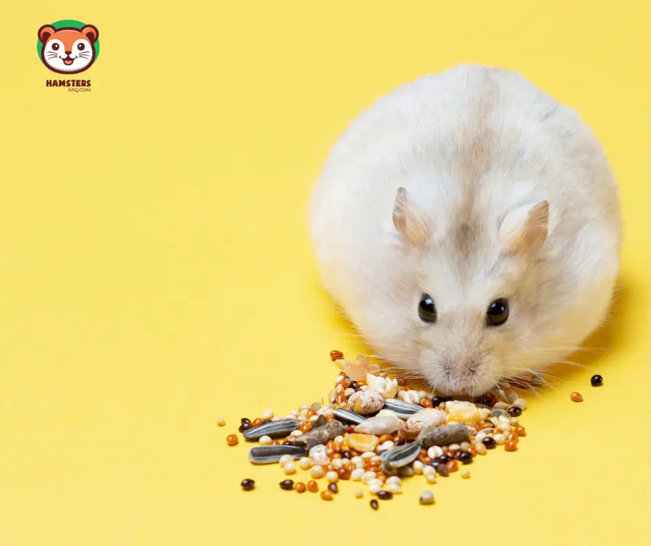 Do You Have to Buy Commercial Food for Hamsters?
